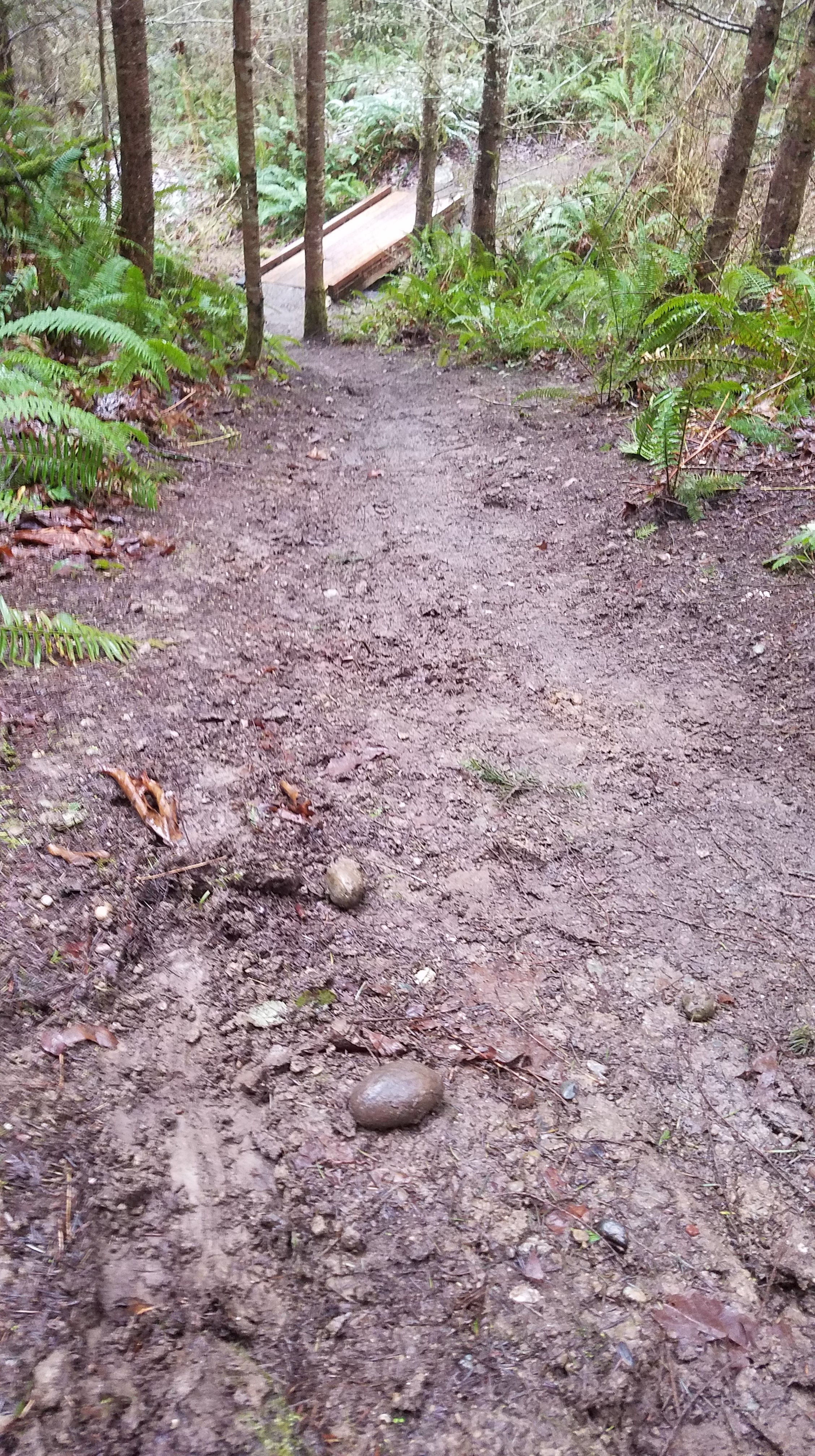 Hoof prints sliding down a steep slick trail toward a bridge.